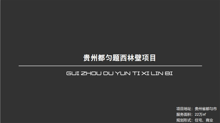 贵州都匀题西林壁项目贵州省都匀市22万㎡设计案例